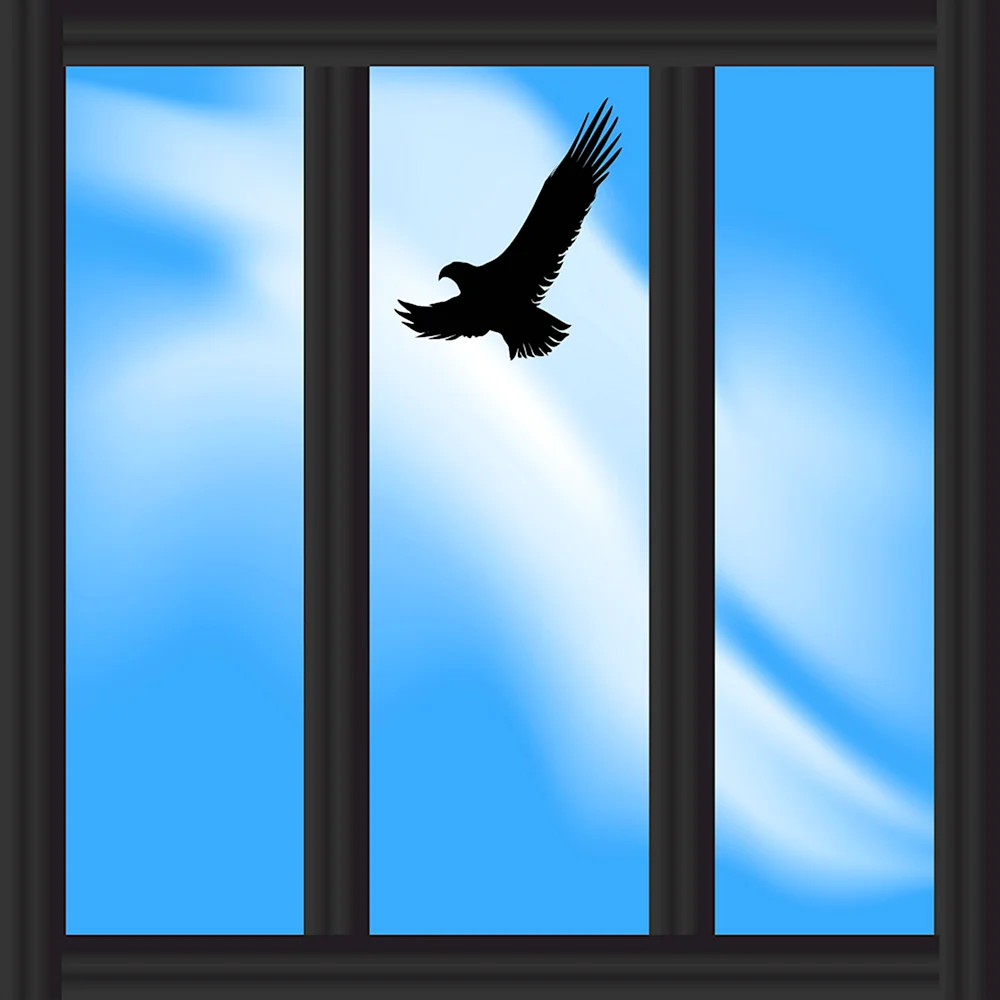 А.С. Пушкин. А.С. Пушкин. «Узник»