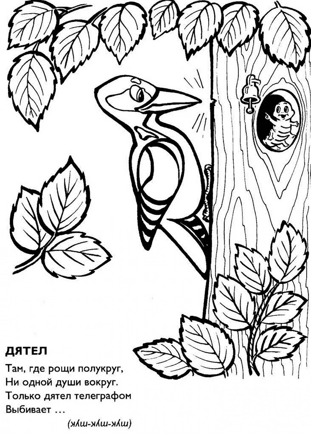 Раскраски из категории Дятел