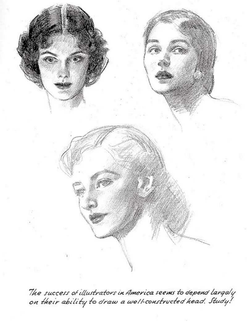 Эндрю Лумис пропорции человека