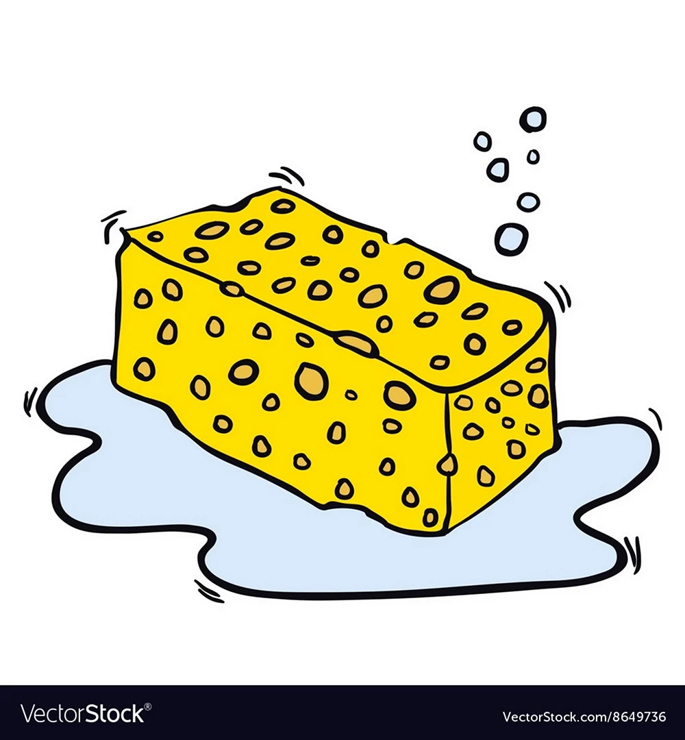 Губка мультяшная