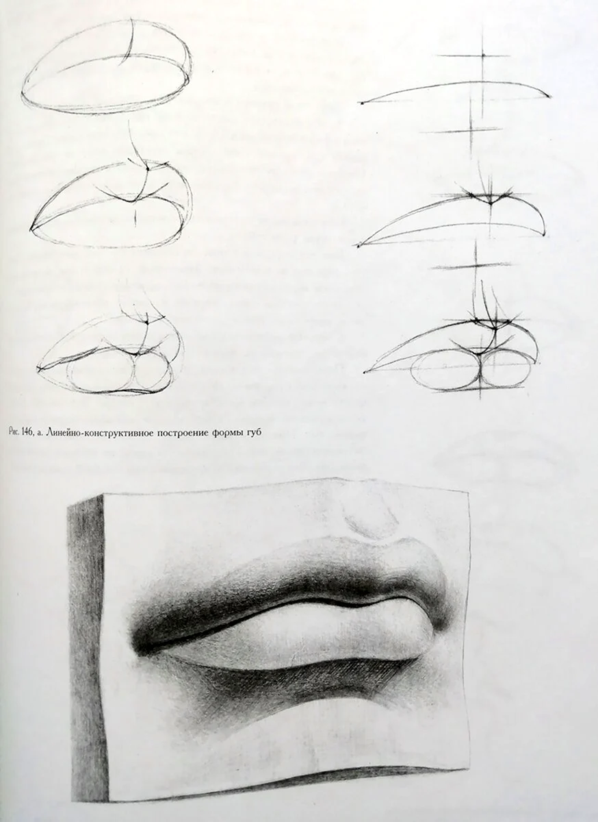 Как рисовать губы в портрете? Рисунок карандашом с обучающими схемами