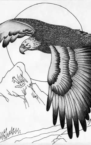 Коршун рисунок карандашом