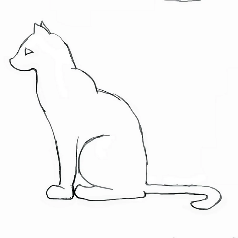 Как быстро нарисовать кота | Кот и кошка | Drawings, Sketches, Animal drawings