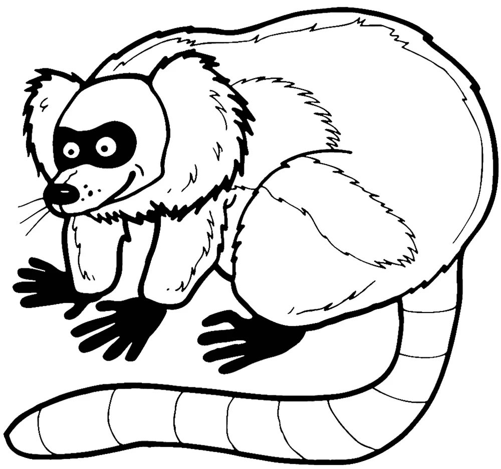 Раскраски Лемур | Animal coloring pages, Coloring pages, Lemur