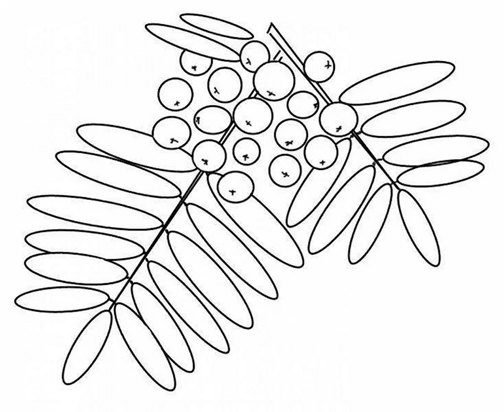Рябина Рисунок: векторные изображения и иллюстрации, которые можно скачать бесплатно | Freepik