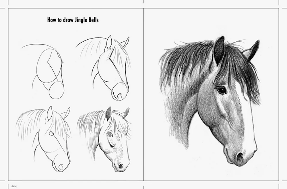 рисуем поэтапно ( learn to draw )