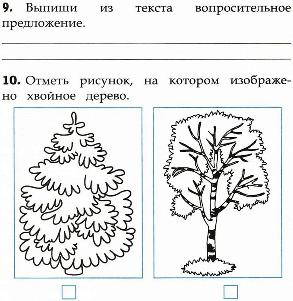 Где лучше применять древесину хвойных пород?