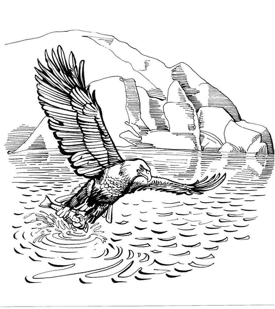 Рисунки для выжигания по дереву природа