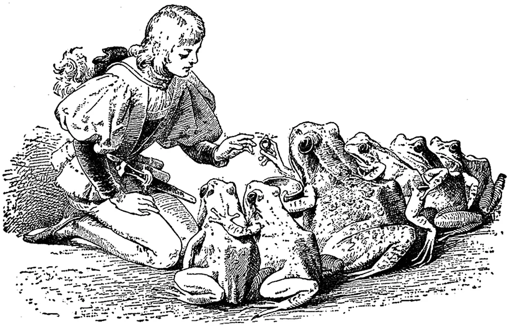 Три перышка братья Гримм