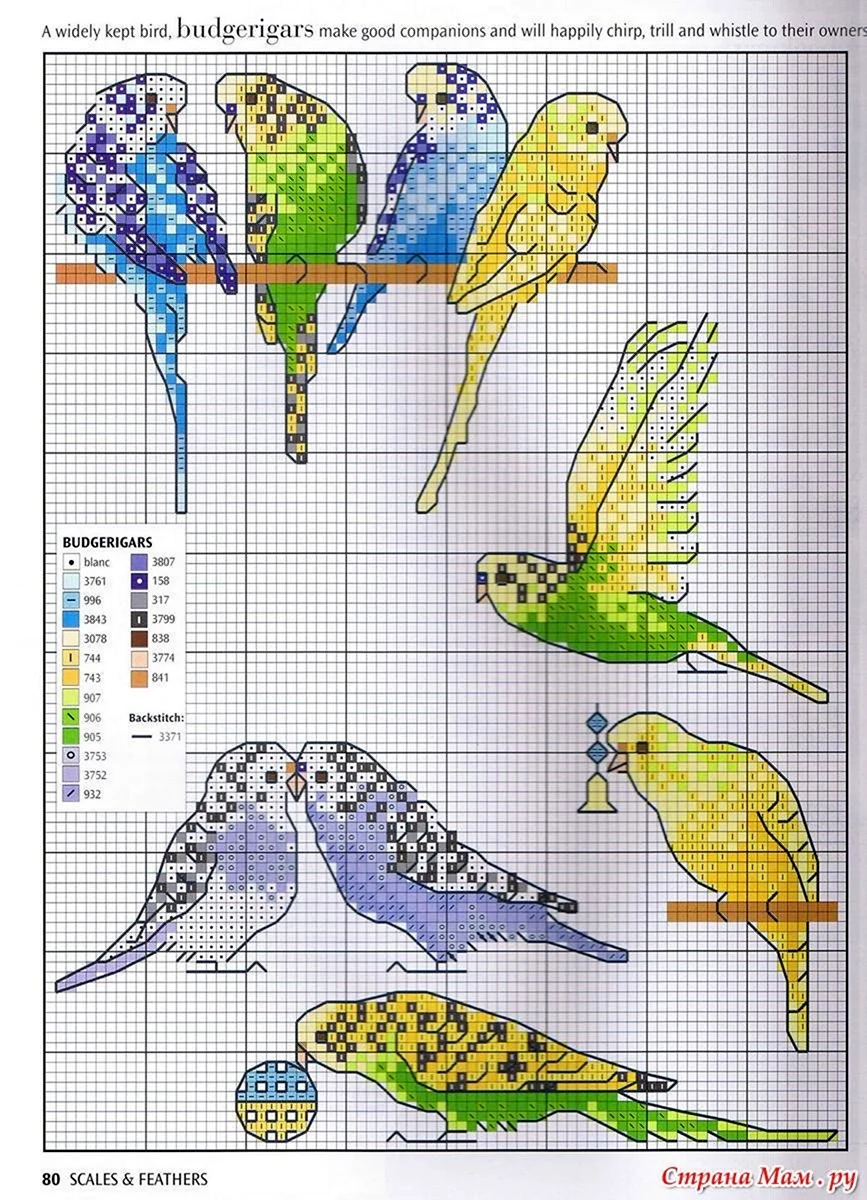 Схема для Вышивки Крестом Попугай