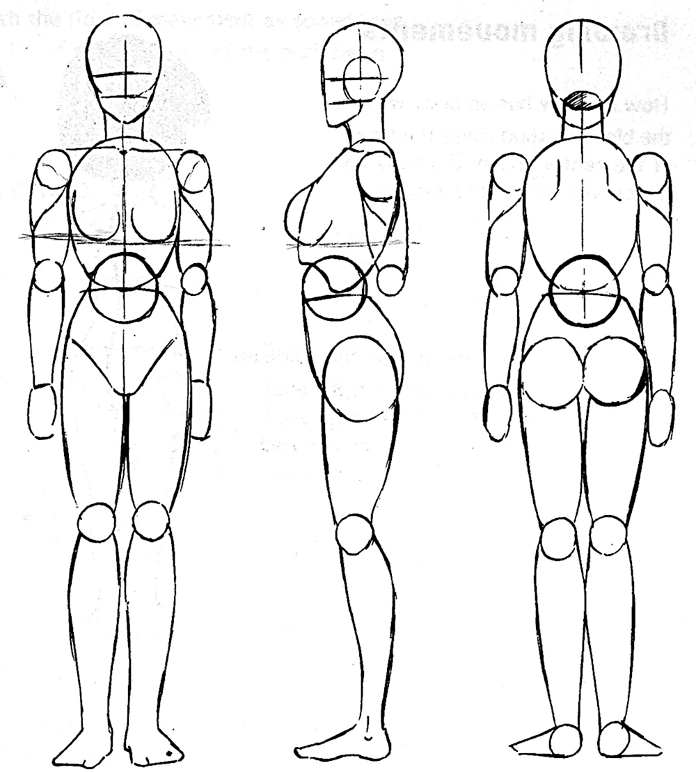 эскизы частей тела человека