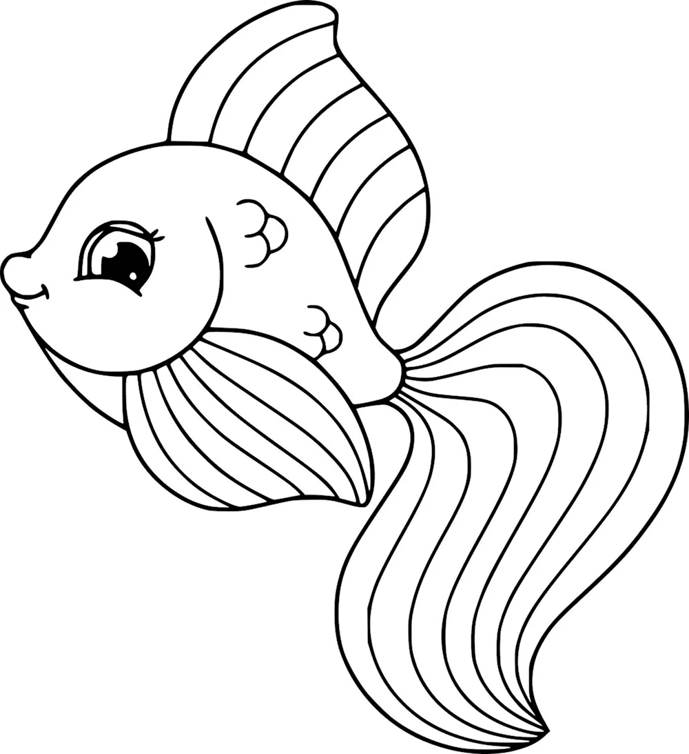 Раскраска-рыбки | Fish coloring page, Coloring for kids, Coloring pages